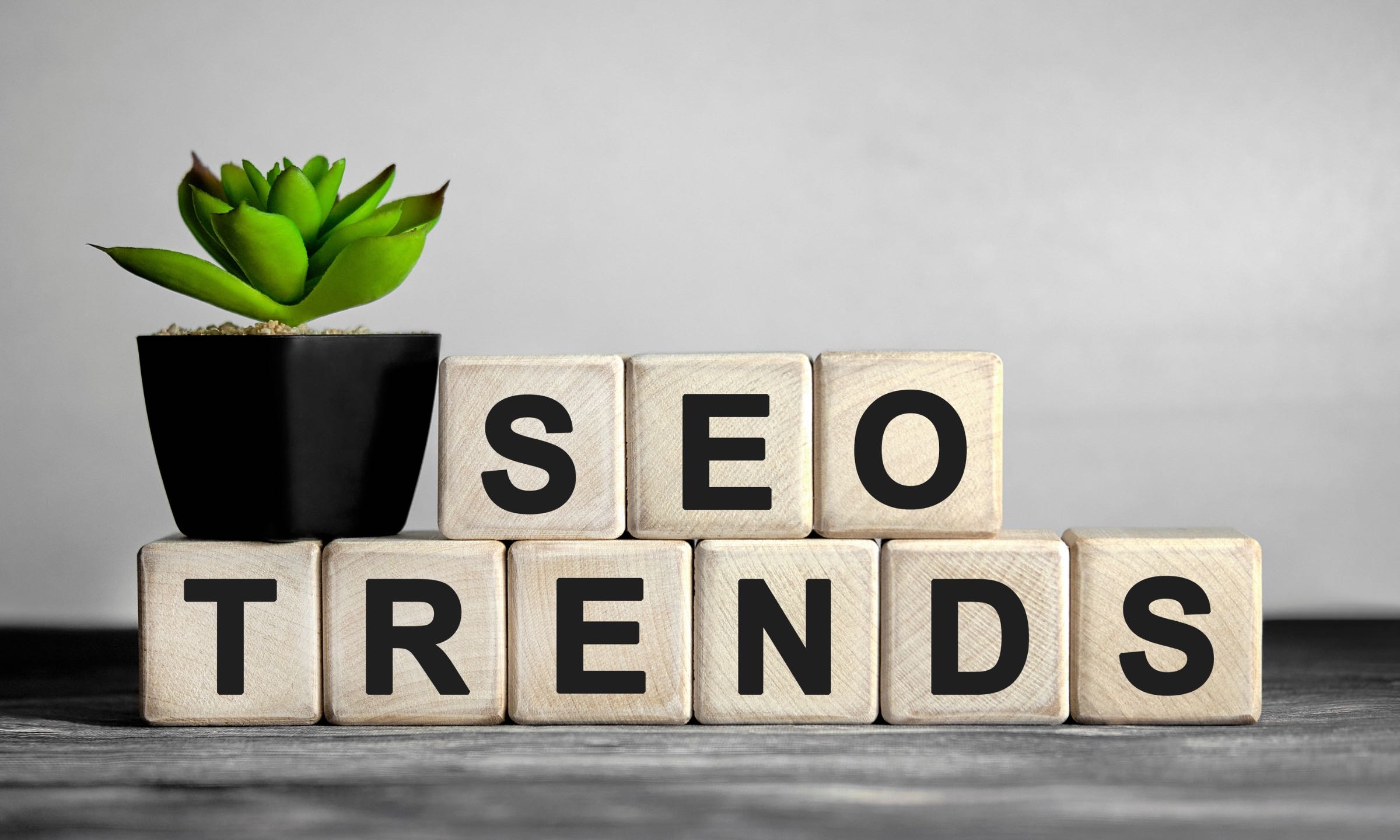 Emerging SEO Trends for 2025 Search SEO Elmhurst